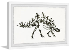 Stegosaurus Skeleton