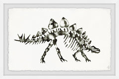 Stegosaurus Skeleton