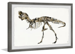 T-Rex Fossil