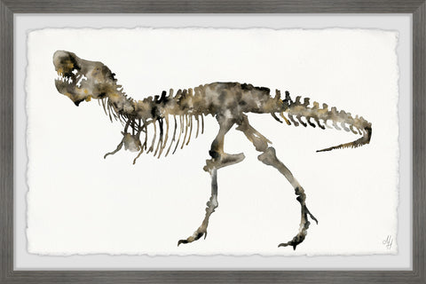 T-Rex Fossil