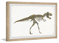 Tyrannosaurus Skeleton