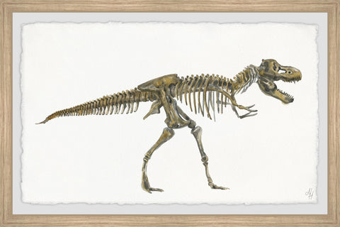 Tyrannosaurus Skeleton