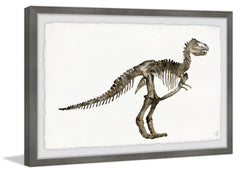 Dinosaur Skeleton