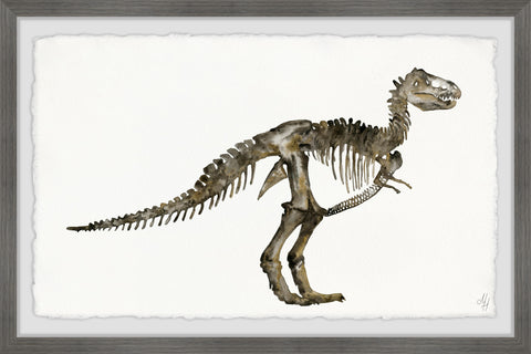 Dinosaur Skeleton