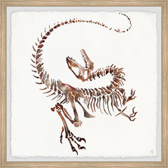 Dino Fossil