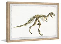 Big Dino Skeleton