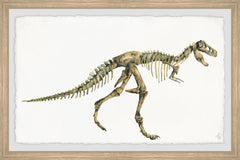 Big Dino Skeleton