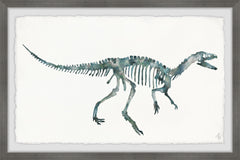 Bluish Gray Skeleton