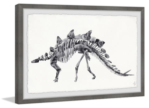 Big Stegosaurus Skeleton