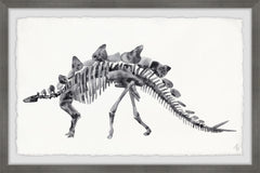 Big Stegosaurus Skeleton