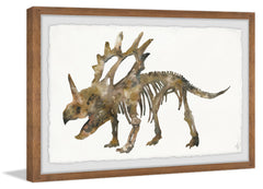 Styracosaurus Skeleton