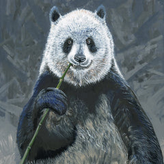 Panda with Bamboo