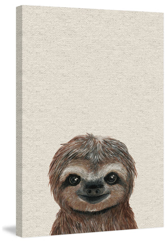 Cheerful Sloth III