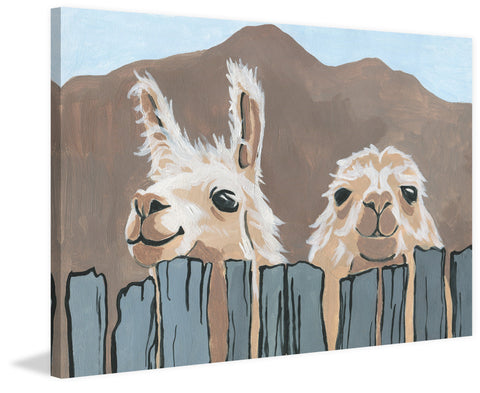 Peekaboo Llamas