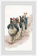 Llamas in a Row