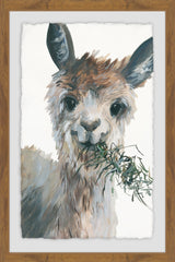 Munching Llama