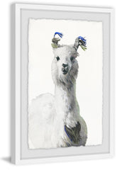 White Llama