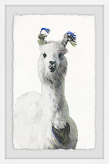 White Llama