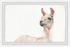 Hey There Llama