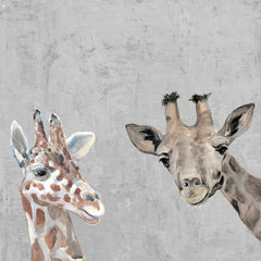 All About Giraffes