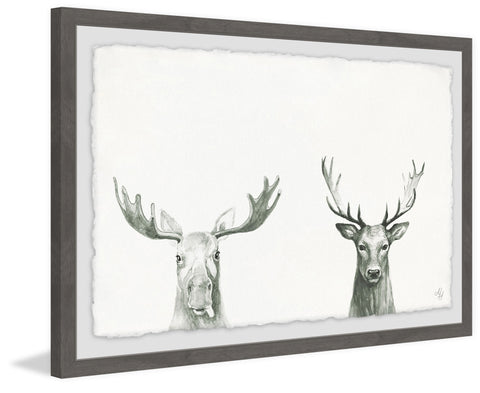 Antler Pair