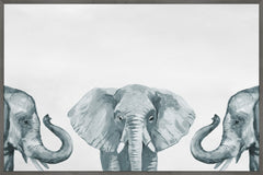 Elephant Poses III