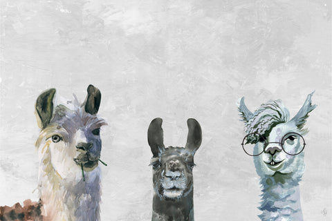 Llama Squad II