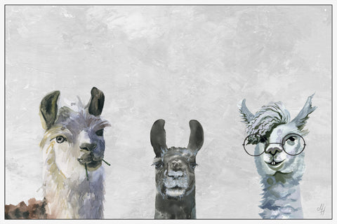 Llama Squad II