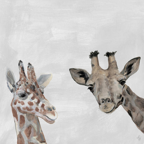 The Giraffes