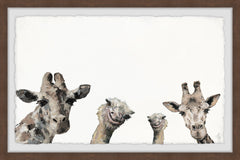 Giraffes and Ostriches II