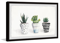 Succulent Trio II