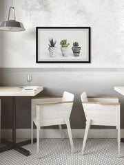 Succulent Trio II