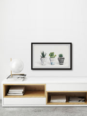 Succulent Trio II