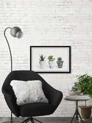 Succulent Trio II