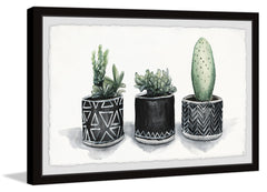 Cacti Madness