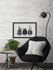 Cacti Madness
