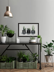 Cacti Madness