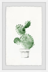 Spiky Succulent