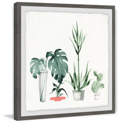 Little Botanical Garden