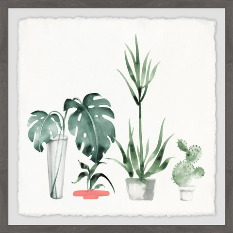 Little Botanical Garden