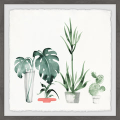 Little Botanical Garden