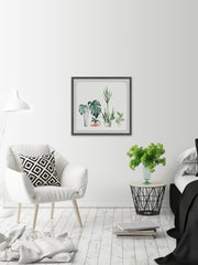 Little Botanical Garden