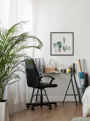 Little Botanical Garden