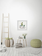 Cacti in Round Pots
