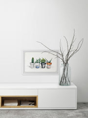 Fashion Pots