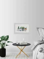 Fashion Pots
