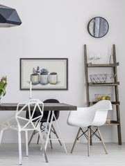 Three Potted Succulents