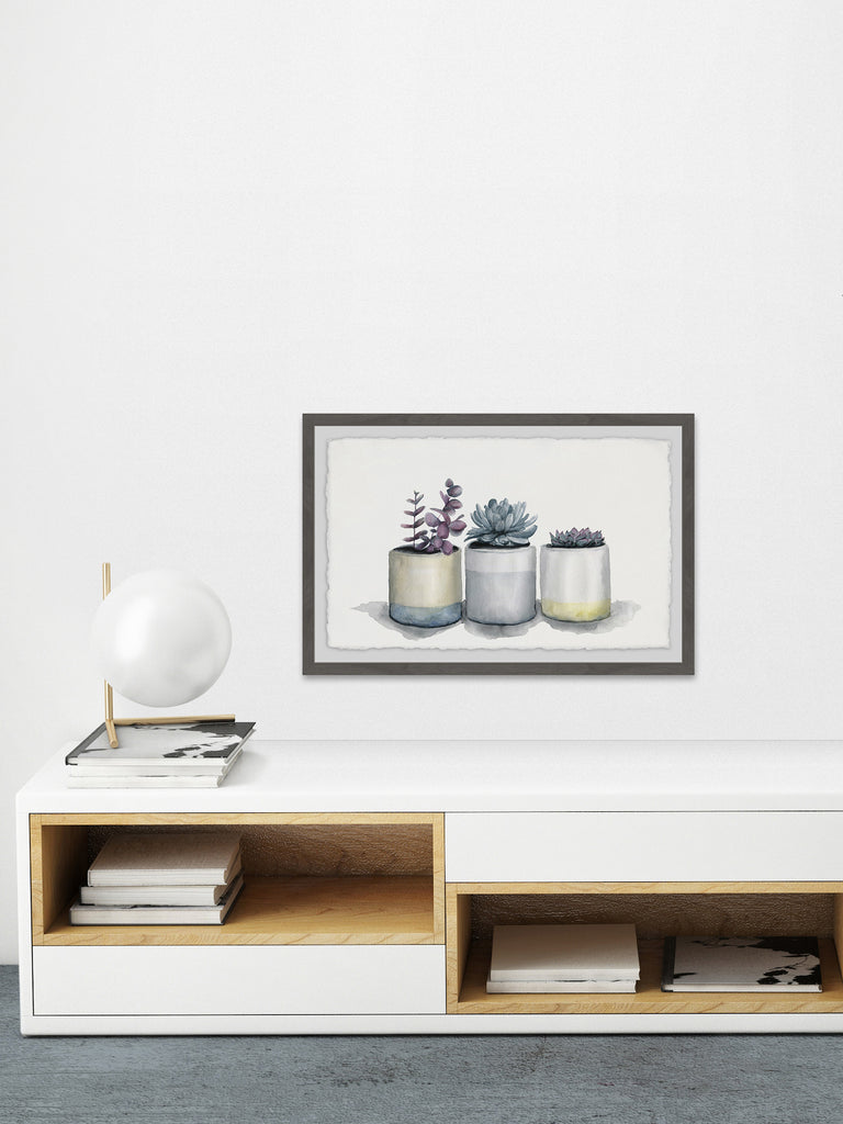 marmont hill succulent Three Potted Succulents – Marmont Hill