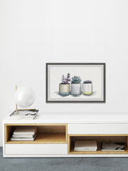 Three Potted Succulents