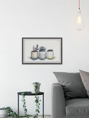 Three Potted Succulents